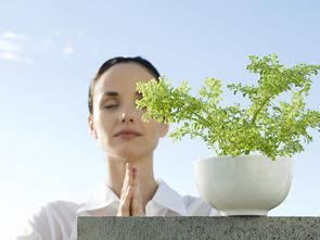 媒體曝光致明德產品創(chuàng)行業(yè)先河，引領中醫(yī)養(yǎng)生保健服務新潮流